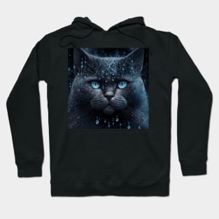 Gothic Black British Shorthair Hoodie